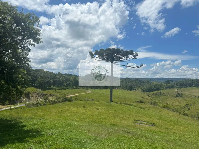 Imagem 6: Sítio com 260.559 M², em São Bento do Sul, com Uma Linda Vista de Cartão Postal