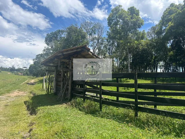 Imagem 16: Sítio com 260.559 M², em São Bento do Sul, com Uma Linda Vista de Cartão Postal