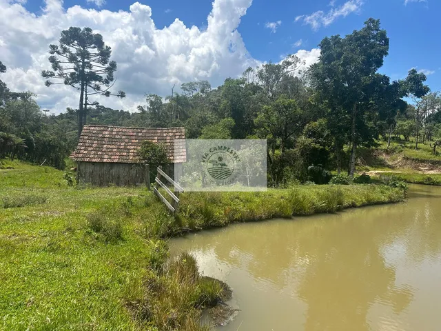 Imagem 8: Sítio com 260.559 M², em São Bento do Sul, com Uma Linda Vista de Cartão Postal