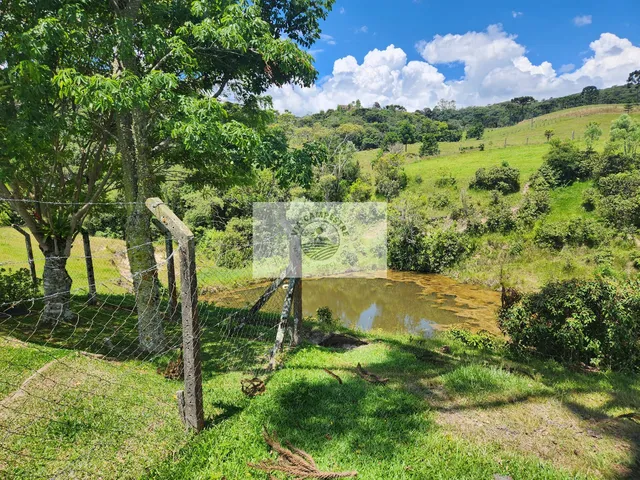 Imagem 11: Sítio com 260.559 M², em São Bento do Sul, com Uma Linda Vista de Cartão Postal