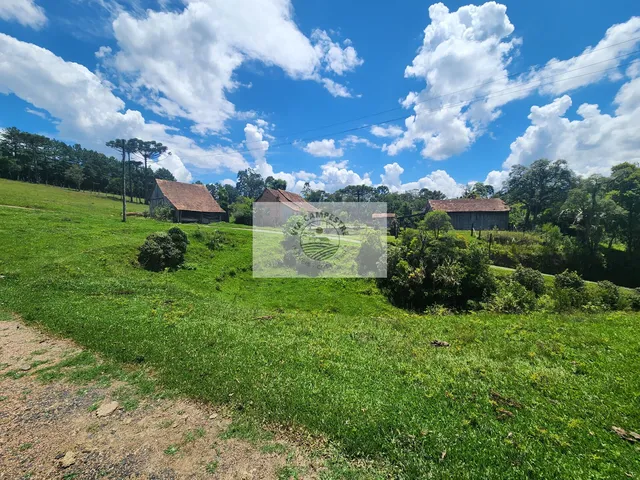 Imagem 15: Sítio com 260.559 M², em São Bento do Sul, com Uma Linda Vista de Cartão Postal
