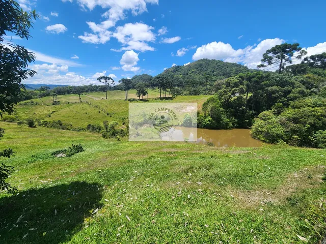 Imagem 13: Sítio com 260.559 M², em São Bento do Sul, com Uma Linda Vista de Cartão Postal