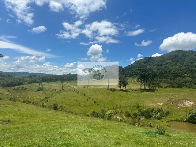 Imagem 2: Sítio com 260.559 M², em São Bento do Sul, com Uma Linda Vista de Cartão Postal
