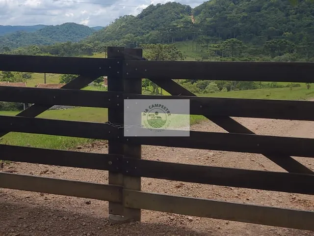 Imagem 9: Sítio com 260.559 M², em São Bento do Sul, com Uma Linda Vista de Cartão Postal
