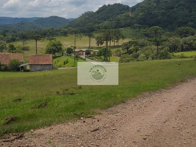 Imagem 10: Sítio com 260.559 M², em São Bento do Sul, com Uma Linda Vista de Cartão Postal