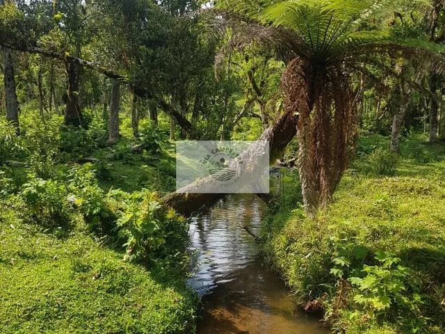 Imagem 15: Sítio com 143.000 M², com Chalé, Casa de Caseiro, Ranchos e Casa Inacabada, Imóvel Escriturado, com Cachoeira