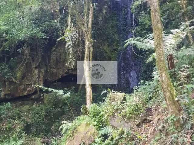 Imagem 7: Sítio com 143.000 M², com Chalé, Casa de Caseiro, Ranchos e Casa Inacabada, Imóvel Escriturado, com Cachoeira