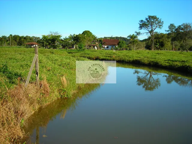 Imagem 16: Terreno Rural em Pirabeiraba com 152.000 M2, Pastagem, Rio, Nascente, Casa Boa