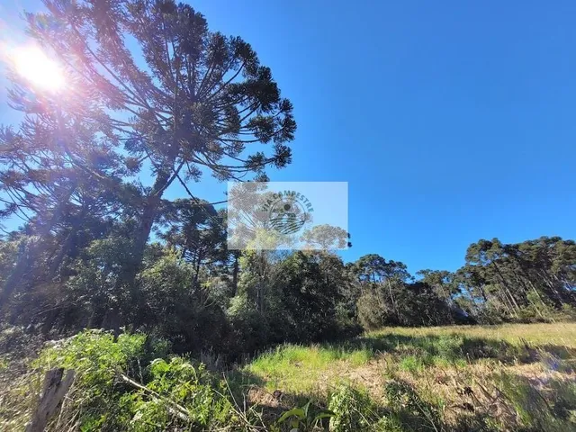 Imagem: Sítio com 30.000 M², Escriturado, Região