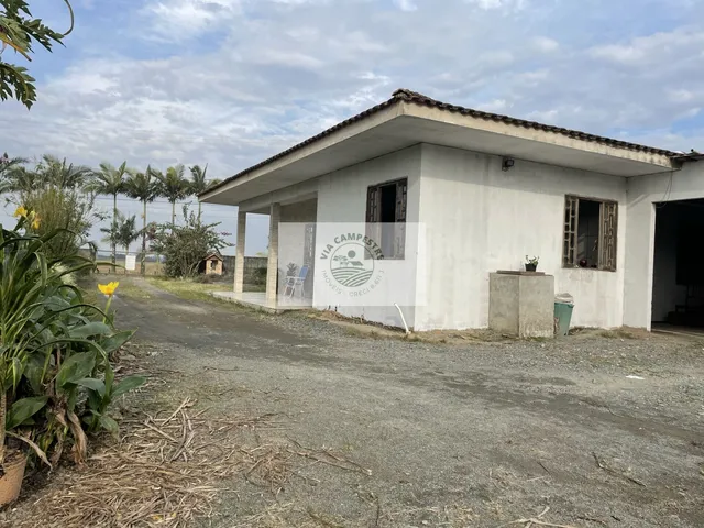 Imagem: Residência no Vila Nova com 4 dormitórios