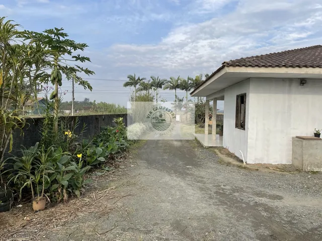 Imagem 16: Residência no Vila Nova com 4 dormitórios, amplo terreno de 1.195 m², escriturado, na