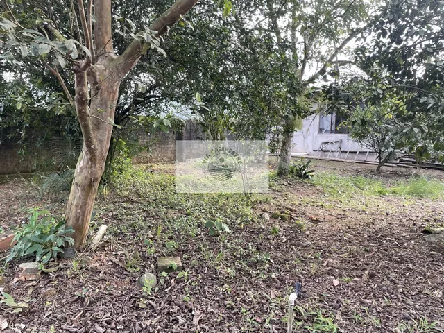 Imagem 7: Residência no Vila Nova com 4 dormitórios, amplo terreno de 1.195 m², escriturado, na