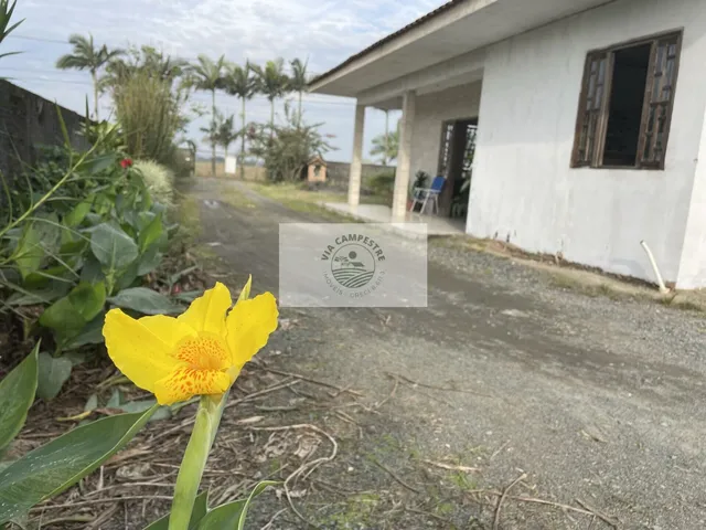 Imagem 14: Residência no Vila Nova com 4 dormitórios, amplo terreno de 1.195 m², escriturado, na