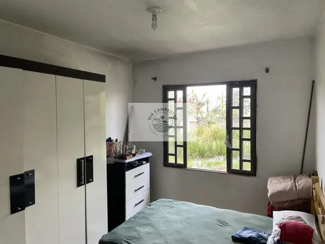 Imagem 6: Residência no Vila Nova com 4 dormitórios, amplo terreno de 1.195 m², escriturado, na