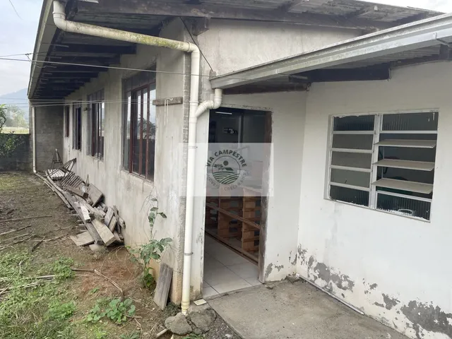 Imagem 9: Residência no Vila Nova com 4 dormitórios, amplo terreno de 1.195 m², escriturado, na