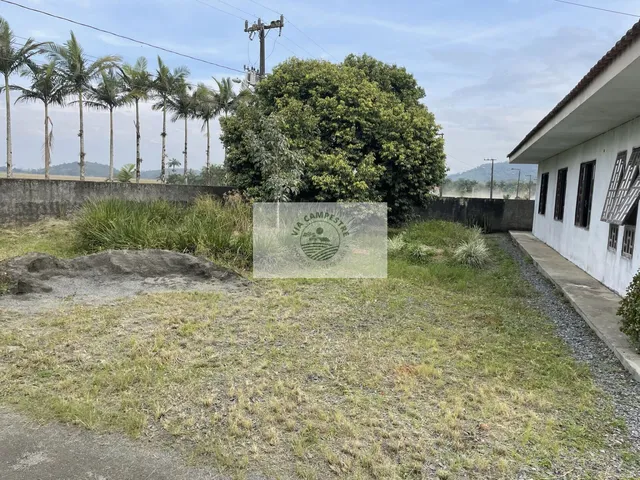 Imagem 3: Residência no Vila Nova com 4 dormitórios, amplo terreno de 1.195 m², escriturado, na