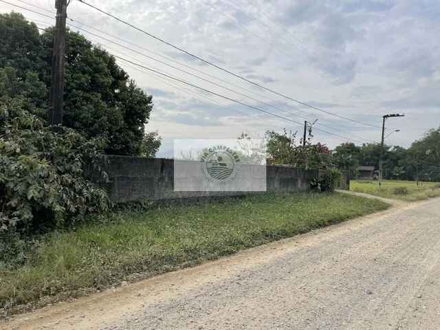 Imagem 12: Residência no Vila Nova com 4 dormitórios, amplo terreno de 1.195 m², escriturado, na