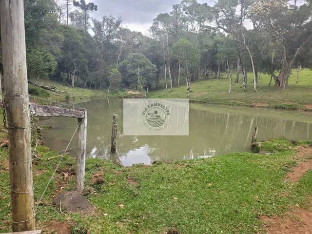 Imagem: Sítio com 30.000 M², Região de Serrinha