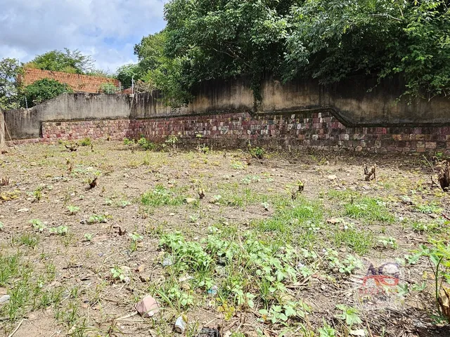 Imagem 10: Terreno À Venda - Bairro Pimenta - Crato (Ce