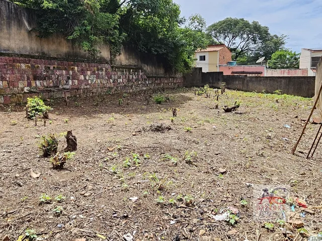 Imagem 7: Terreno À Venda - Bairro Pimenta - Crato (Ce