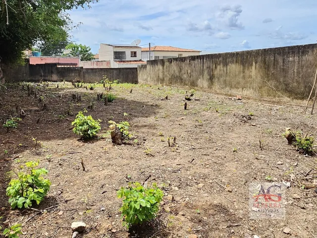 Imagem 3: Terreno À Venda - Bairro Pimenta - Crato (Ce