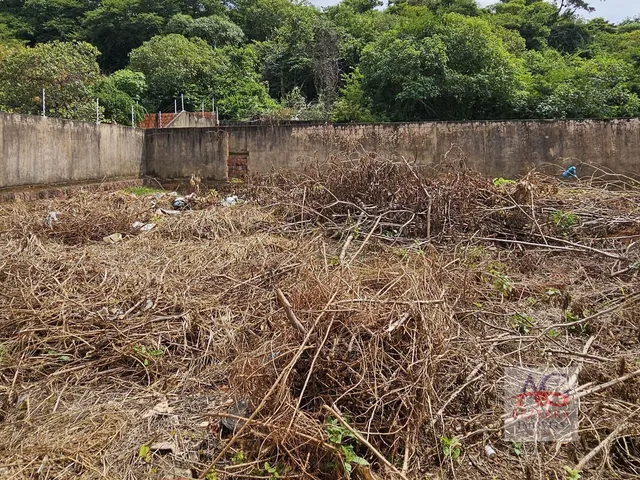 Imagem 11: Terreno À Venda - Bairro Pimenta - Crato (Ce