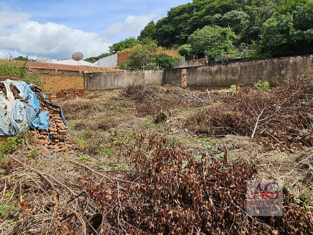 Imagem 16: Terreno À Venda - Bairro Pimenta - Crato (Ce