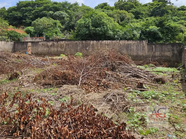 Imagem 13: Terreno À Venda - Bairro Pimenta - Crato (Ce
