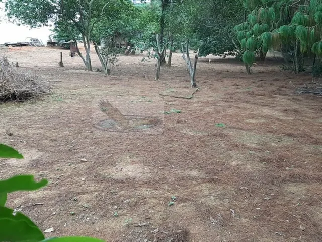 Imagem: Terreno Lote para Venda em Jardim Alto de