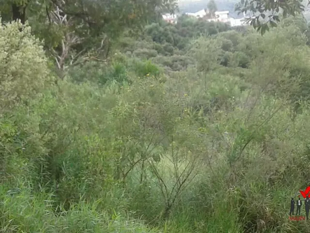 Imagem 2: Área Residencial para Venda em santa Maria Poços de Caldas-Mg
