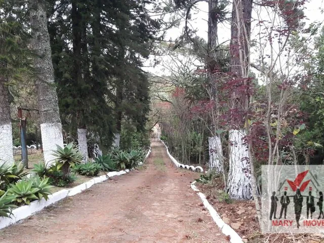 Imagem 6: Chácara À Venda no Bairro Jardim Campos Elísios - Poços de Caldas/Mg