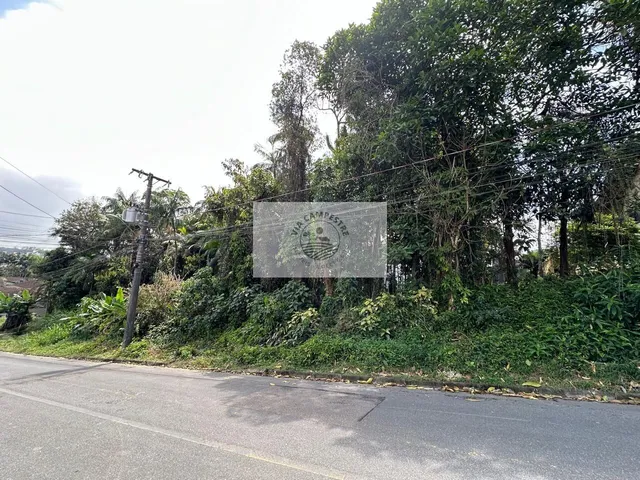 Imagem 5: Terreno 18X50 no Bairro Costa e Silva