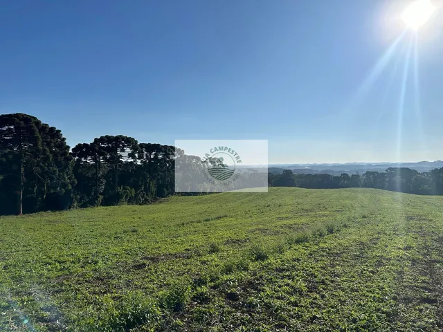 Imagem: Area Rural com 45 Hectares, Escriturada