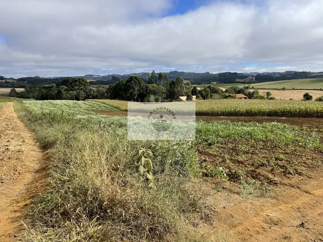 Imagem 15: Sítio com 48.000 M², Todo Limpo, Ótimo para Plantação, Analisa Permuta Parcial