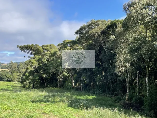 Imagem 7: Sítio com 48.000 M², Todo Limpo, Ótimo para Plantação, Analisa Permuta Parcial
