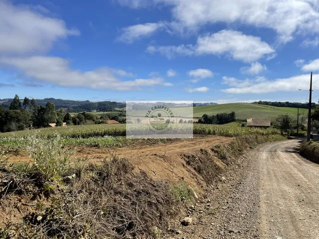 Imagem 11: Sítio com 48.000 M², Todo Limpo, Ótimo para Plantação, Analisa Permuta Parcial