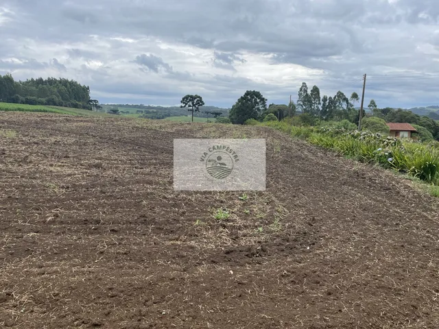 Imagem 8: Sítio com 48.000 M², Todo Limpo, Ótimo para Plantação, Analisa Permuta Parcial