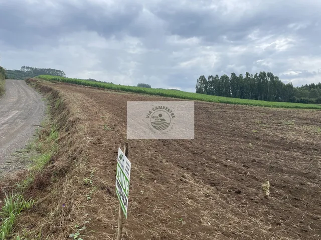 Imagem 4: Sítio com 48.000 M², Todo Limpo, Ótimo para Plantação, Analisa Permuta Parcial