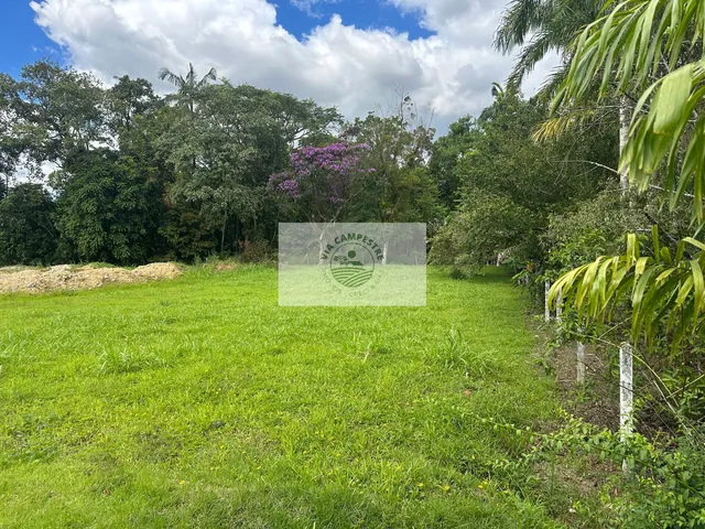 Imagem: Terreno Escriturado, Lateral da Estrada