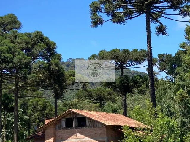 Imagem: Sítio em Campo Alegre com 35.000 M², Residencia