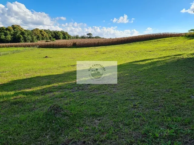 Imagem: Terreno em Condominio Fechado, no Lageado