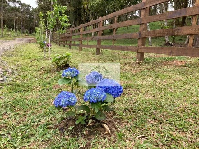 Imagem: Terreno em Campo Alegre com 99.000 M²