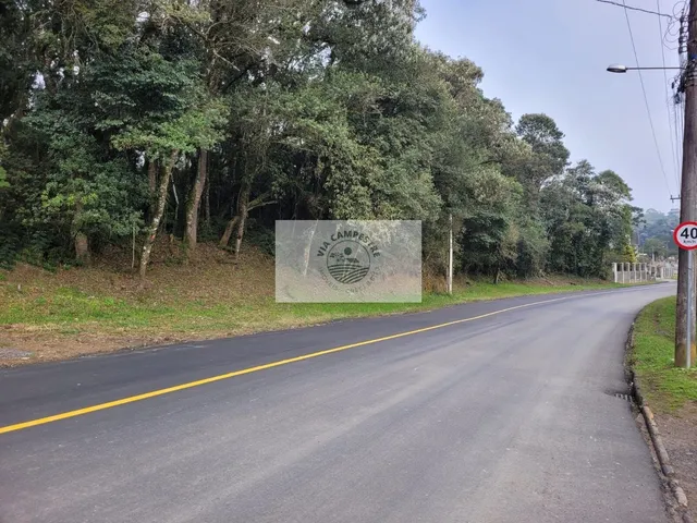Imagem: Terreno com 6.000 M², Frente para o Asfalto