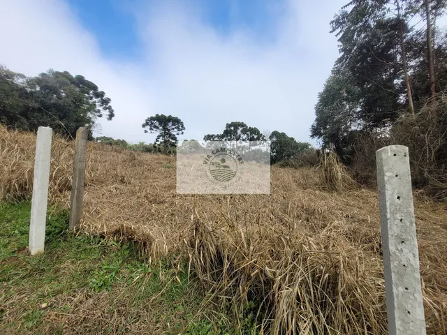 Imagem 7: Terreno com 6.000 M², Frente para o Asfalto, Escriturado