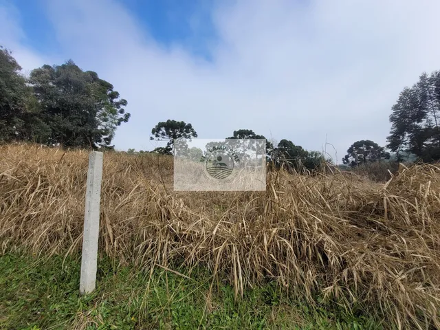 Imagem 5: Terreno com 6.000 M², Frente para o Asfalto, Escriturado