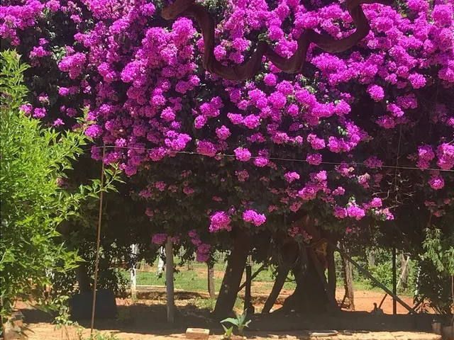 Imagem 9: Fazendinha à Venda no Fazendas da Serra, Jaboticatubas MG