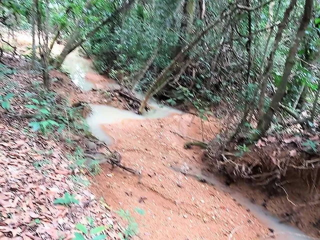 Imagem 13: Fazendinha à Venda no Fazendas da Serra, Jaboticatubas MG