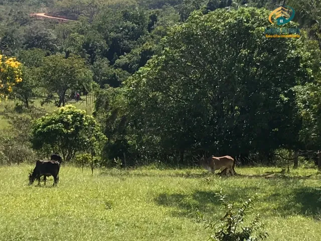 Imagem 7: Fazendinha à Venda no Fazendas da Serra, Jaboticatubas MG