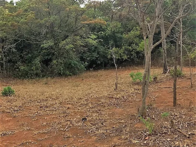 Imagem 11: Fazendinha à Venda no Fazendas da Serra, Jaboticatubas MG