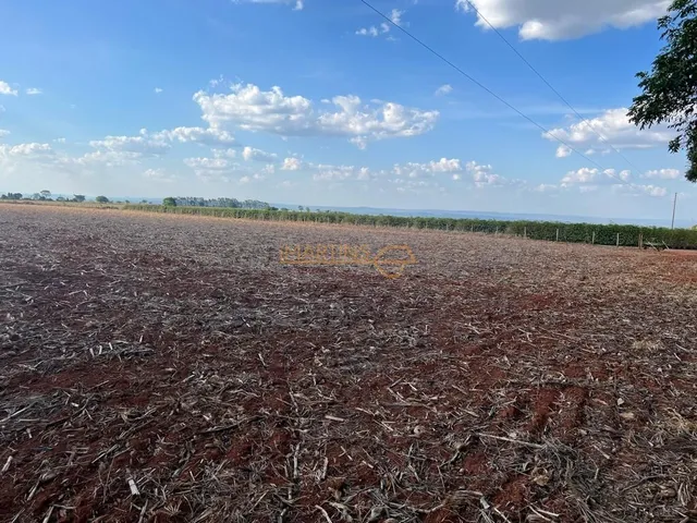 Imagem 12: Sítio À Venda Fazenda / sítio com venda por R$6.500.000